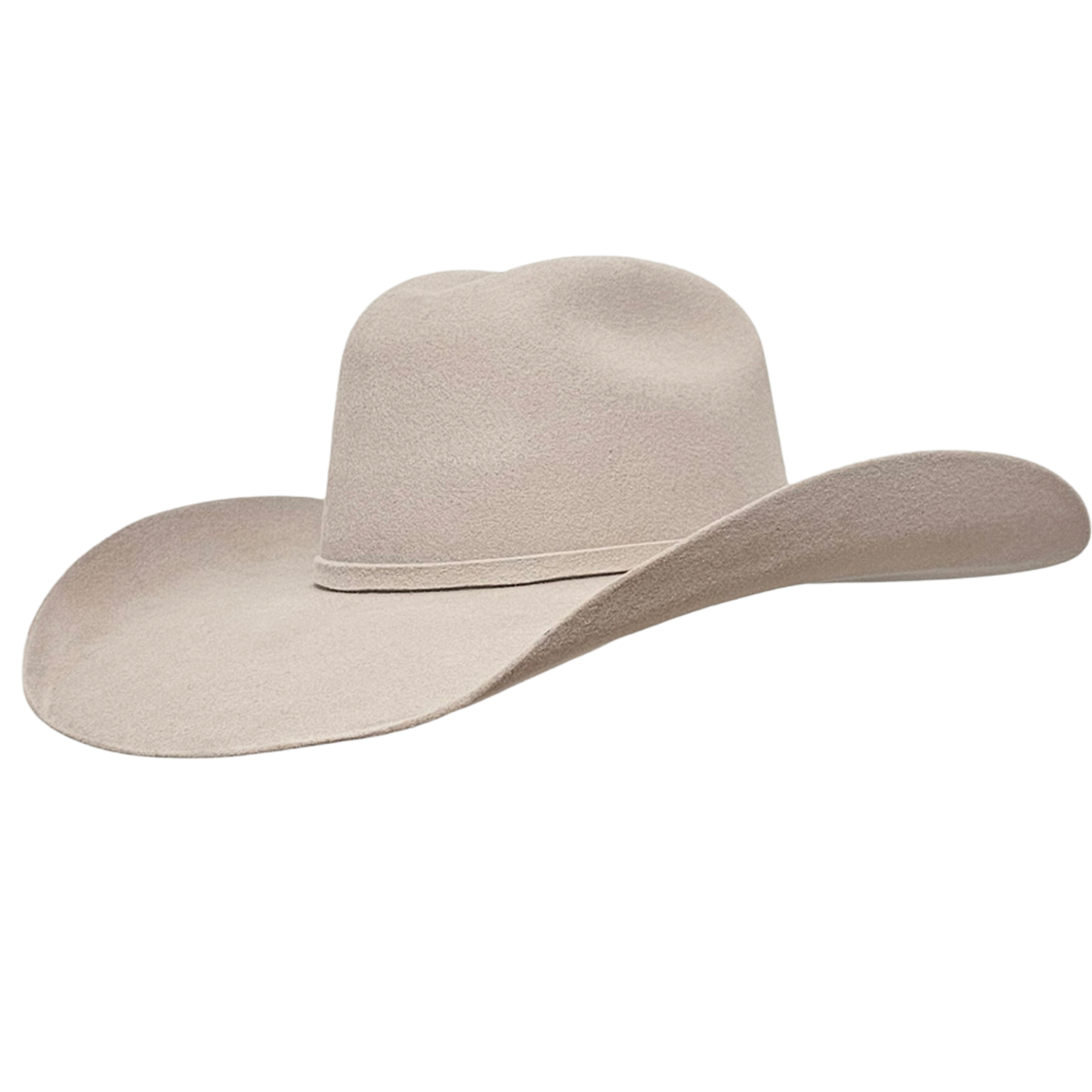 Stockman Silver Belly Felt Cowboy Hat (Trail Boss Series) – Gone ...